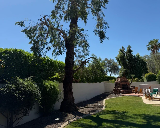 JJ Tree Service d
